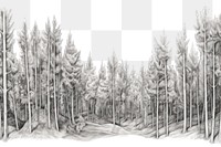 PNG Forrest drawing sketch plant. AI generated Image by rawpixel.