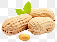 PNG Double peanuts plant food white background.