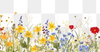 PNG Wildflower border backgrounds outdoors nature