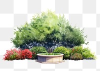 PNG Bush with small fountain border outdoors backyard nature.