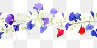 PNG Butterfly pea flowers border plant petal white background.