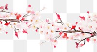 PNG Cherry blossom flowers border plant white white background.