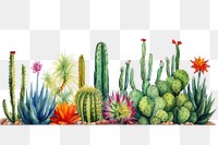 PNG Cactus border plant white background creativity.