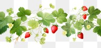 PNG Strawberry and ivy leaves border fruit plant food.