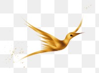 PNG  Bird animal white background hummingbird. AI generated Image by rawpixel.