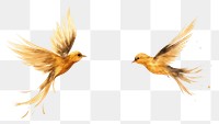 PNG  Birds animal flying white background. AI generated Image by rawpixel.