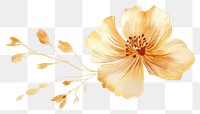 PNG  Blossom hibiscus blossom flower. AI generated Image by rawpixel.