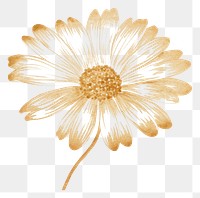 PNG  Daisy pattern flower petal. AI generated Image by rawpixel.