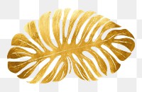 PNG  Monstera plant gold leaf. AI generated Image by rawpixel.