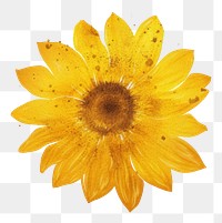 PNG  Sunflower petal plant gold. AI generated Image by rawpixel.