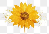 PNG  Sunflower plant inflorescence splattered. AI generated Image by rawpixel.