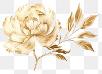 PNG  Peony pattern drawing flower. AI generated Image by rawpixel.
