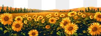 PNG Sun flower field landscape agriculture backgrounds. AI generated Image by rawpixel.