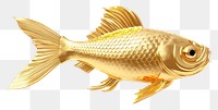 PNG Fish animal gold  