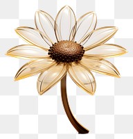 PNG  Transparent glass mini sunflower plant daisy white.