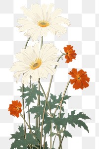 PNG  Traditional japanese wood block print illustration of daisy flower petal plant.
