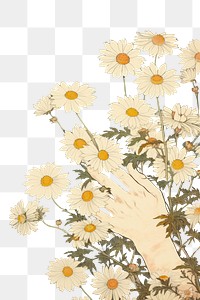 PNG  An isolated hand hold chamomile flower art backgrounds