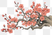PNG  An isolated sakura bouquet flower art painting