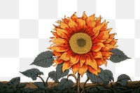 PNG  An isolated sunflower art plant inflorescence. AI generated Image by rawpixel.