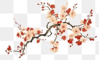 PNG  A isolated sakura flower backgrounds painting blossom