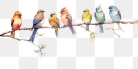 PNG Birds painting animal creativity