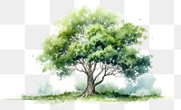 PNG Tree painting drawing sketch.