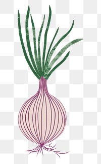 PNG Cute onion illustration vegetable plant food.