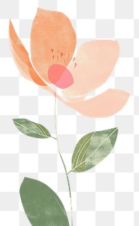 PNG  Cute flower illustration pattern petal plant.