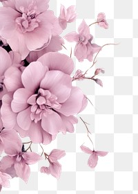 PNG Pink flower pattern backgrounds blossom petal
