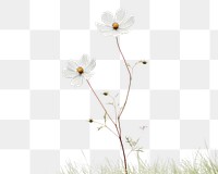 PNG Meadow with flower outdoors blossom nature. AI generated Image by rawpixel.