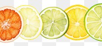 PNG Minimal citrus grapefruit lemon lime.