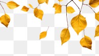 PNG Leaves flying backgrounds plant leaf. AI generated Image by rawpixel.