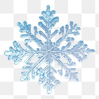 PNG Snowflakes illuminated celebration decoration. AI generated Image by rawpixel.