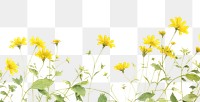 PNG Yellow flowers backgrounds sunflower outdoors.