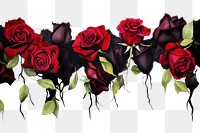 PNG Stunning black roses flower nature petal.