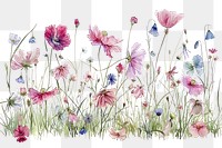 PNG  Wildflower border outdoors pattern nature.
