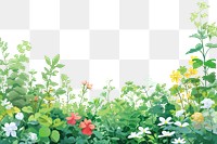 PNG  Small Wildflower border backgrounds outdoors nature.