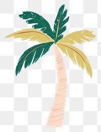 PNG  Palm tree plant leaf white background