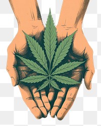 PNG  Cannabis leaf hand holding finger.