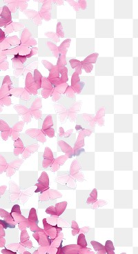 PNG  Backgrounds petal plant pink.