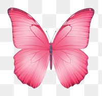 PNG  Butterfly petal red fragility.
