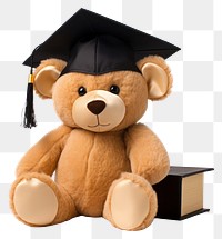 PNG Teddy Bear graduation plush bear.