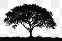 PNG  Sillhouette Black and white isolate tree silhouette plant black