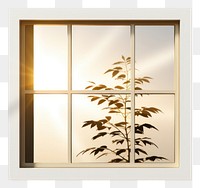 PNG Window shadow windowsill white plant.