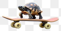 PNG Cute tortoise on skateboard animal longboard wildlife.