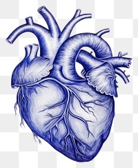 PNG  Drawing heart sketch blue illustrated.