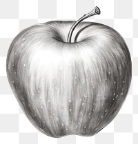 PNG Apple drawing sketch fruit. AI generated Image by rawpixel.