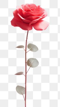 PNG  Rose outdoors flower nature. AI generated Image by rawpixel.