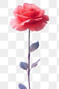 PNG  Rose blossom flower petal. AI generated Image by rawpixel.