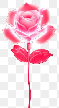 PNG  Rose flower light petal. AI generated Image by rawpixel.
